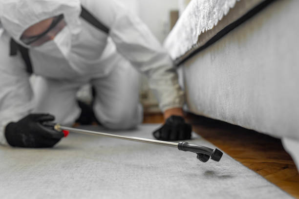 Professional Mosquito Control technician working in Valhalla, NY
