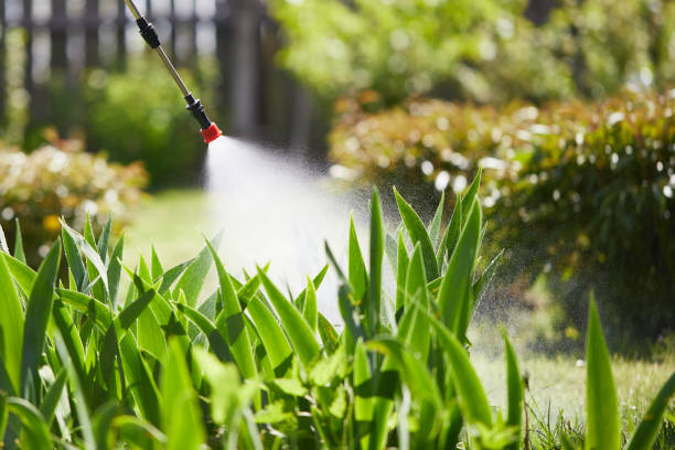 24/7 Emergency Mosquito Control experts in Valhalla, NY