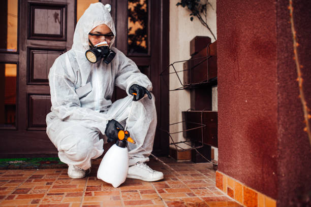 Reliable Mosquito Control contractor in Valhalla, NY by Nex Pest Control