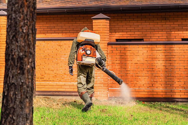 Top rated local Mosquito Control specialists in Valhalla, NY